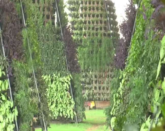 https://www.jagranimages.com/images/newimg/13102021/13_10_2021-vertical_garden_22110892.jpg