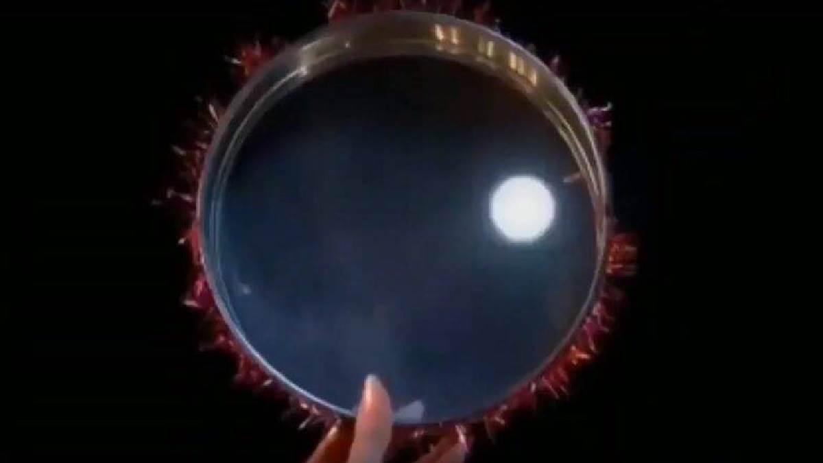 https://www.jagranimages.com/images/newimg/13102022/13_10_2022-karwa_chauth_2022_moon_rise_time_23137315.jpg