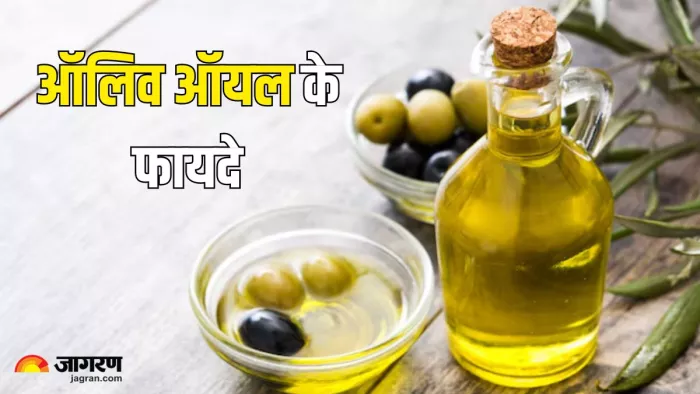 Olive Oil से सेहत को मिलते हैं अनगिनत फायदे (Picture Courtesy: Freepik)