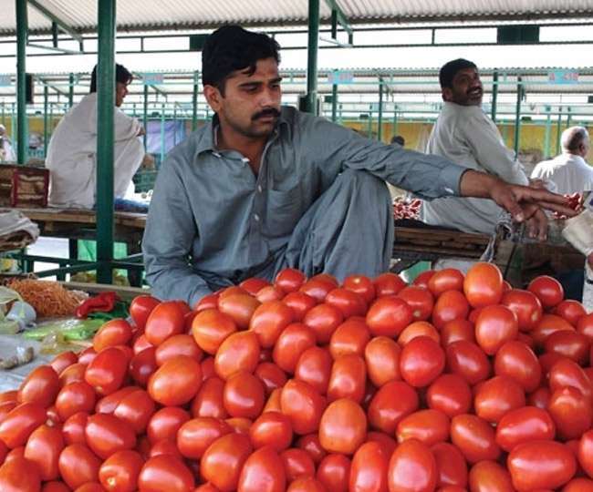टमाटर की कीमतों से पाकिस्तान हुआ बेहाल, ईरान से मंगाने पर कर रहा विचार