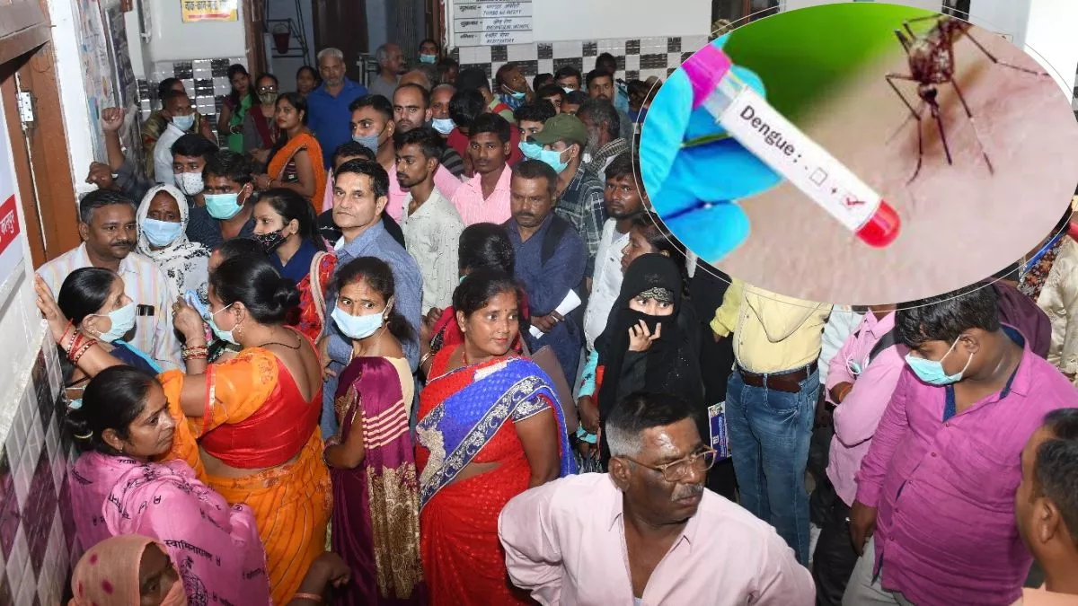 Dengue In Kanpur: तेजी से बढ़ रहा डेंगू का प्रकोप, 40 नए केस सामने आए, शासन ने तलब की रिपोर्ट