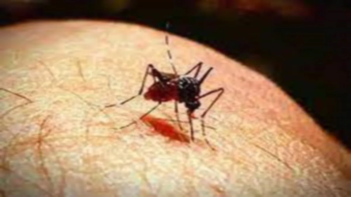 Dengue in Prayagraj: प्रयागराज में डेंगू का अधिक प्रकोप, अब तक 7 मौतें हो चुकी है, पिछली बार 2 की हुई थी मौत