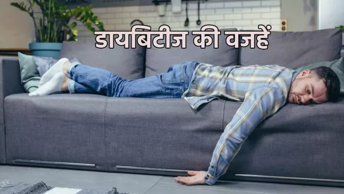 World Diabetes Day 2023: चीज़ें जो बन सकती हैं डायबिटीज की वजह