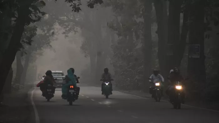 यूपी में सुबह-शाम कोहरा गिर रहा है लेकिन दिन में ठंड नहीं बढ़ रही है।- जागरण