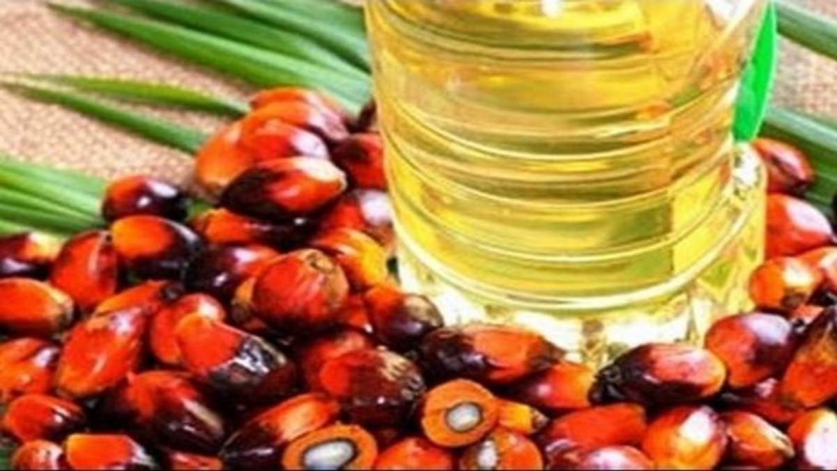 import of edible oil decreased by 3 percent is this the reason for rising inflation
