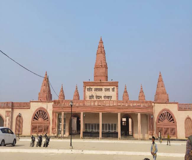 himalayan black bear pair will come from kanpur and ranchi zoo in gorakhpur zoo