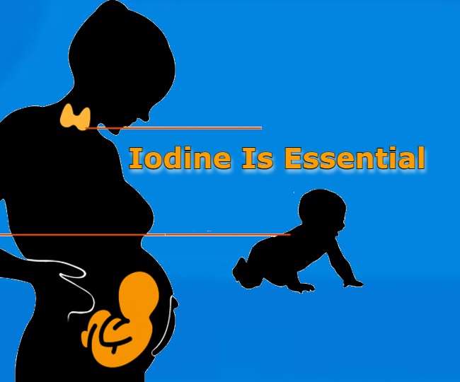 गर्भवतियों का रखें विशेष ख्याल, न होने दें आयोडीन की कमी।