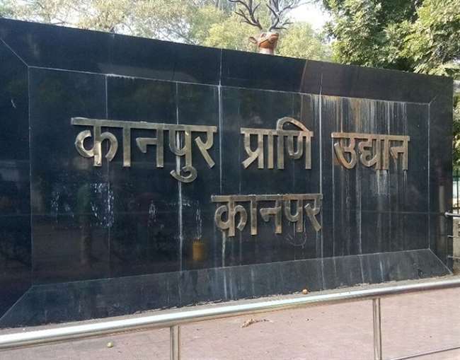 ostrich will come from chennai to kanpur zoo and white tiger pair will be go tirupati zoo
