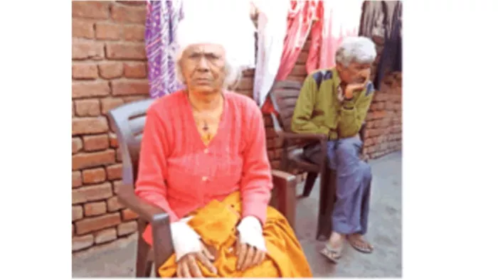 दादी के सिर में गमला मारकर पोते ने की हत्या, पौत्रवधू सहित तीन पर केस दर्ज