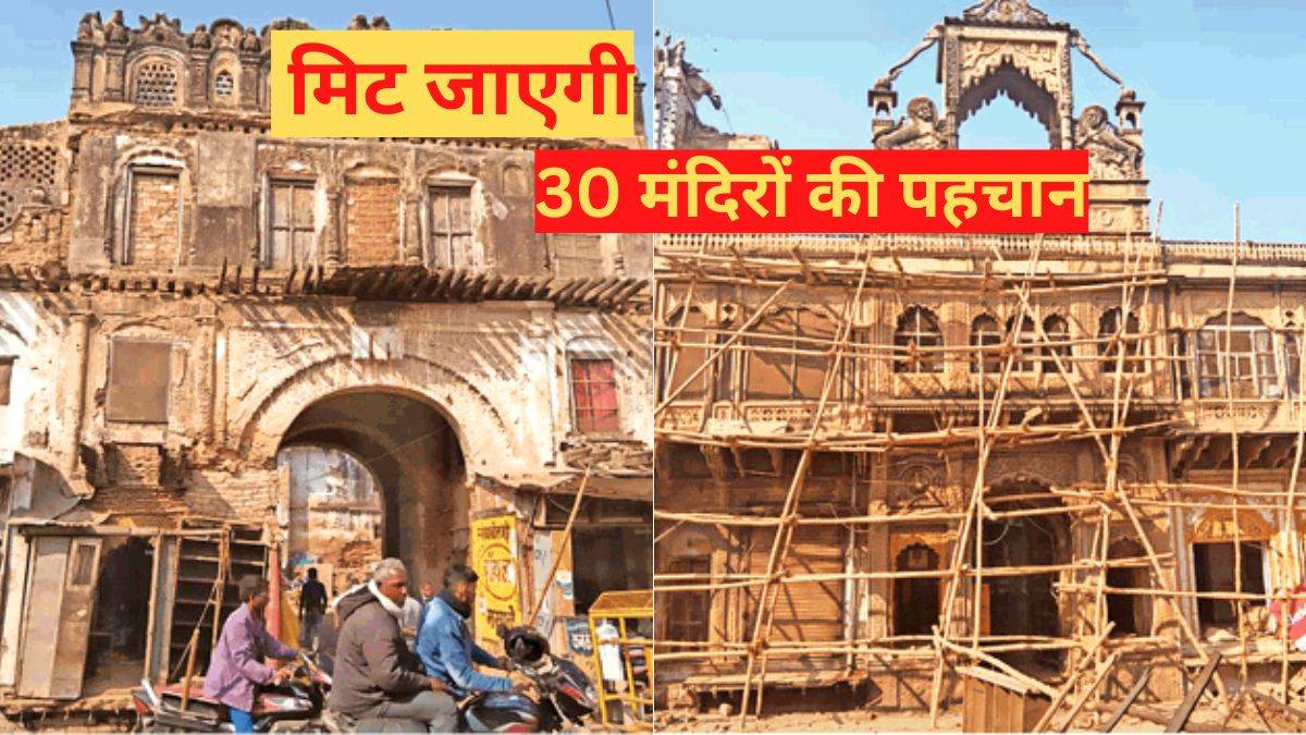 News Article Hero Image