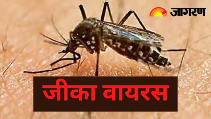 Zika Virus: जीका वायरस के लक्षण और बचाव के उपाय