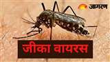 Zika Virus: जीका वायरस के लक्षण और बचाव के उपाय