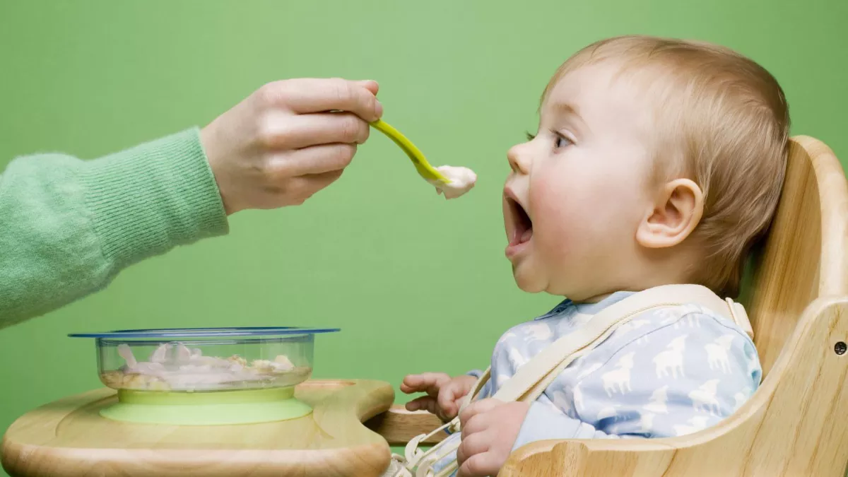 6 से 24 महिने के बच्चों के लिए ये Baby Food हैं बेस्ट, शारीरिक- मानसिक विकास संग बनायेंगे हड्डियों को भी मजबूत