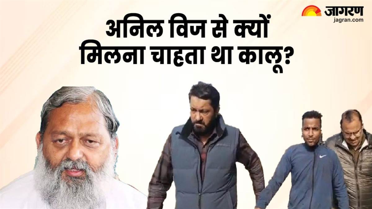 accused kalu was going to meet anil vij after stabbing his sister 30 times