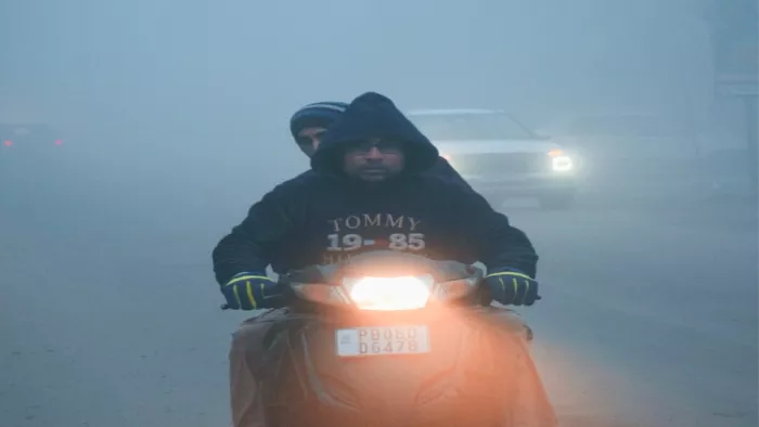 ठंड की चपेट में पूरा पंजाब: कोहरे की चादर में लिपटा पिंड