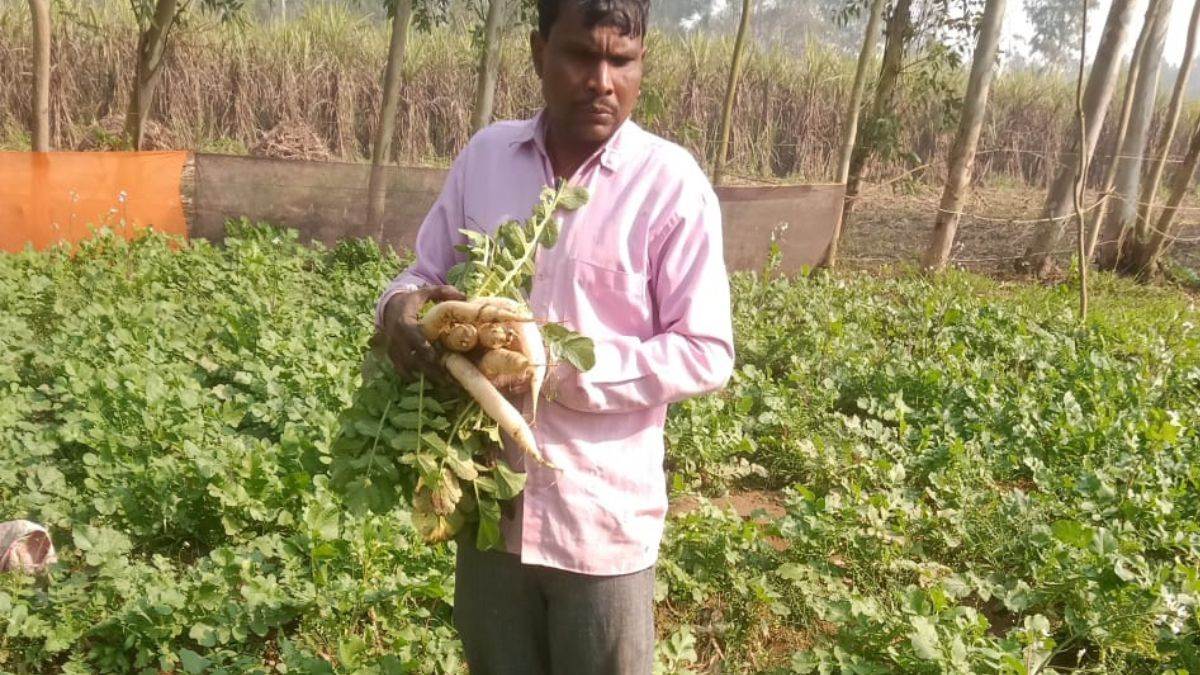 https://www.jagranimages.com/images/newimg/13122023/13_12_2023-farmers_sold_organic_crops_23603493.jpg