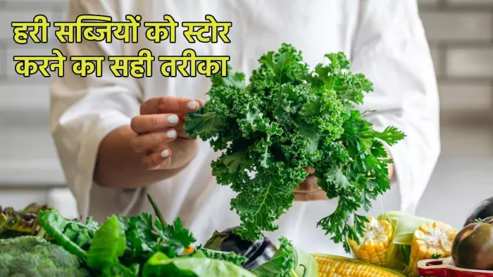 Green Vegetables Storage Tips: हरी सब्जियों को इन तरीकों से करें फ्रिज में स्टोर