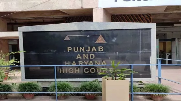 हाई कोर्ट ने हलफनामे को ठहराया झूठा