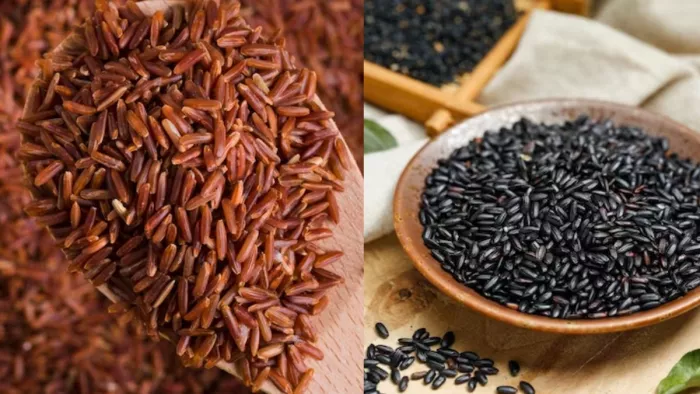 Rice For Weight Loss: वजन कम करने के लिए खाएं चावल की ये 5 किस्में