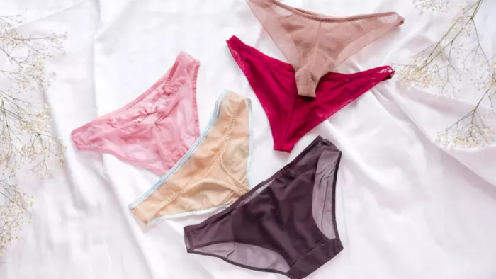 Underwear Cleaning Tips: अंडरवेयर्स साफ करने के तरीके