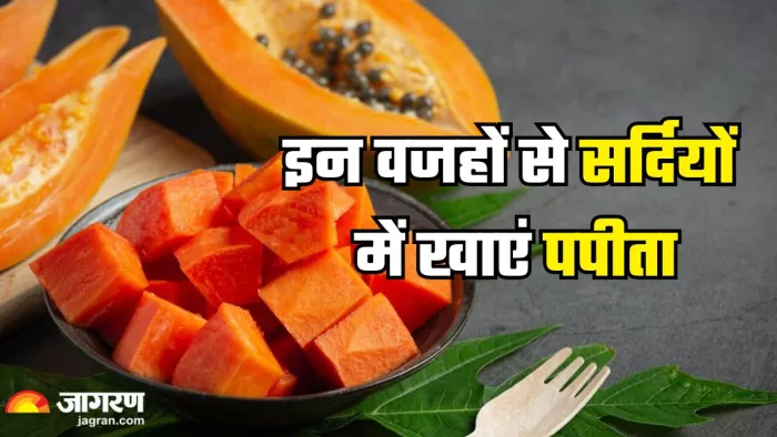इन वजहों से सर्दियों में रोज खाएं पपीता (Picture Credit- Freepik)