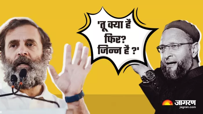 'तू क्या है फिर? जिन्न है?', ओवैसी ने उड़ाया राहुल गांधी का मजाक; देखें Video