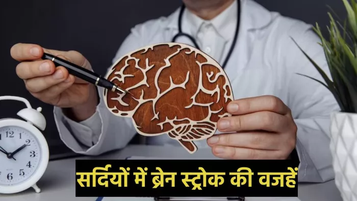 Brain Stroke: सर्दियों में इस वजह से बढ़ जाते हैं ब्रेन स्ट्रोक के मामले