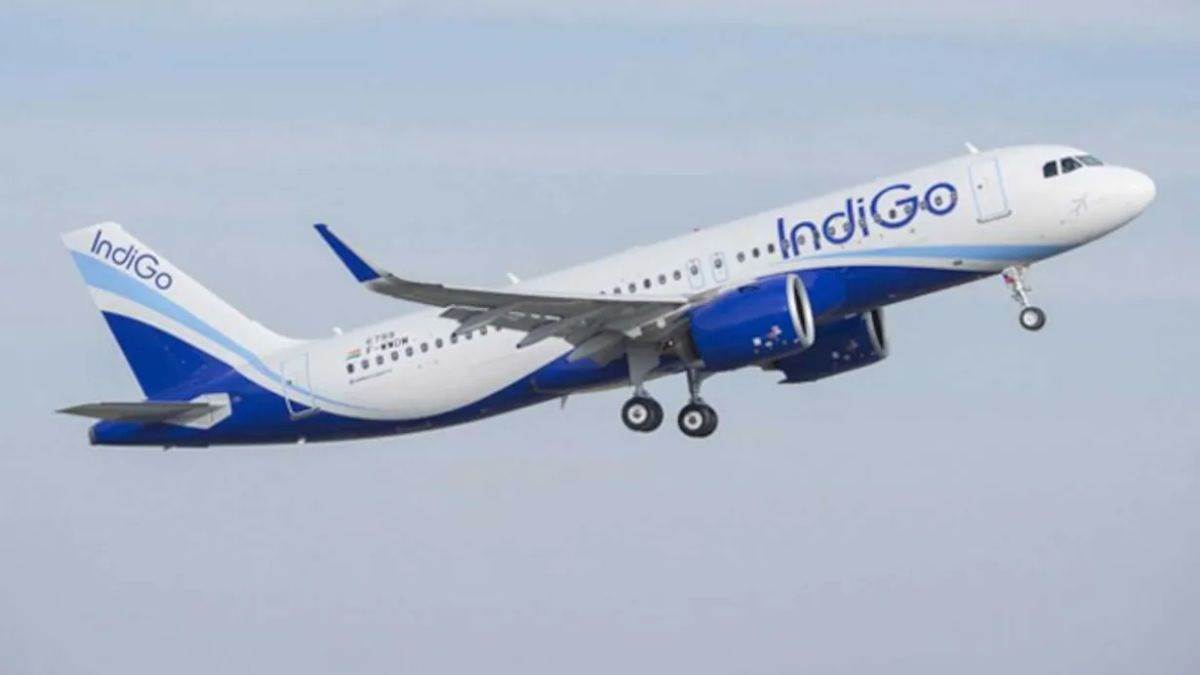 man slams indigo on flight was delayed airline apologizes to passenger