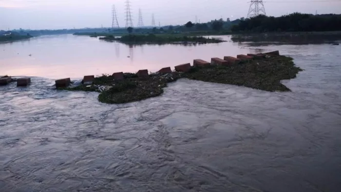 यमुना में प्रदूषण को लेकर दिल्ली सरकार को NGT की फटकार।