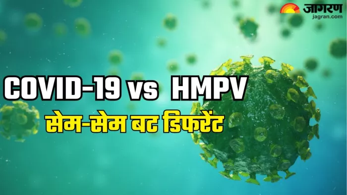 एचएमपीवी और कोरोना में अंतर व समानताएं (Picture Credit- Freepik)