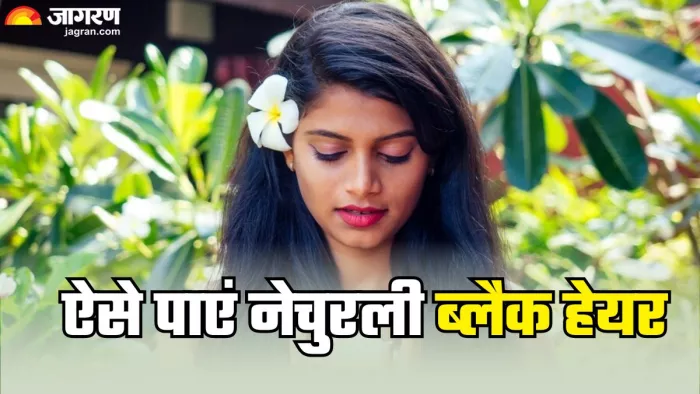 ऐसे बनाएं बालों को काला और घना (Picture Credit- Freepik)