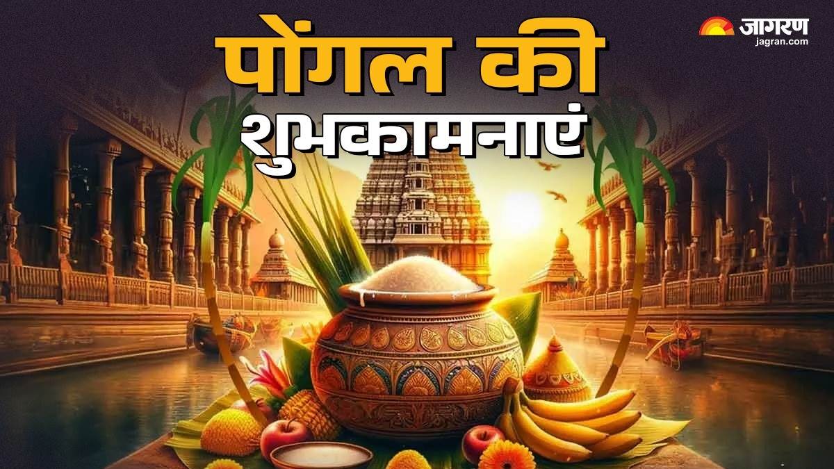 https://www.jagranimages.com/images/newimg/14012025/14_01_2025-pongal_2025_whatsapp_quotes_23865834.jpg