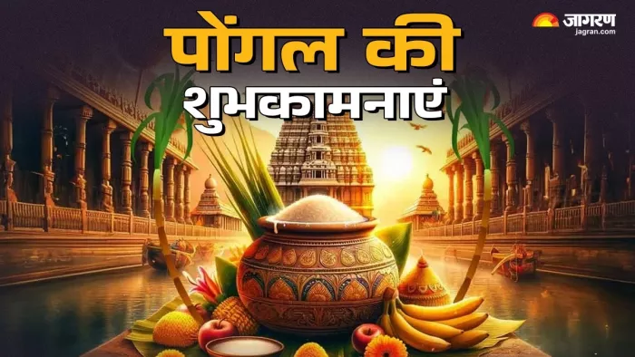 Pongal 2025 Wishes : पोंगल की मुबारकबाद।