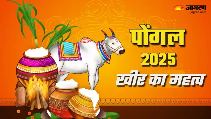 Pongal 2025 कैसे बनती है पोंगल की खीर? (Picture Credit: Freepik)