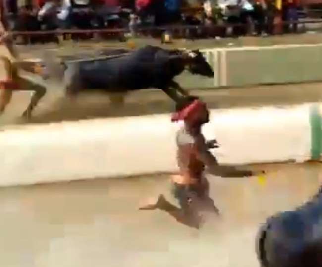 Image result for कर्नाटक में बफेलो रेस (भैंसा दौड़) में रिकॉर्ड बनाने वाले श्रीनिवास गौड़ा