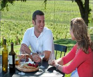 कैलिफोर्निया में अमेरिका की 90 फीसदी वाइन बनाई जाती है।