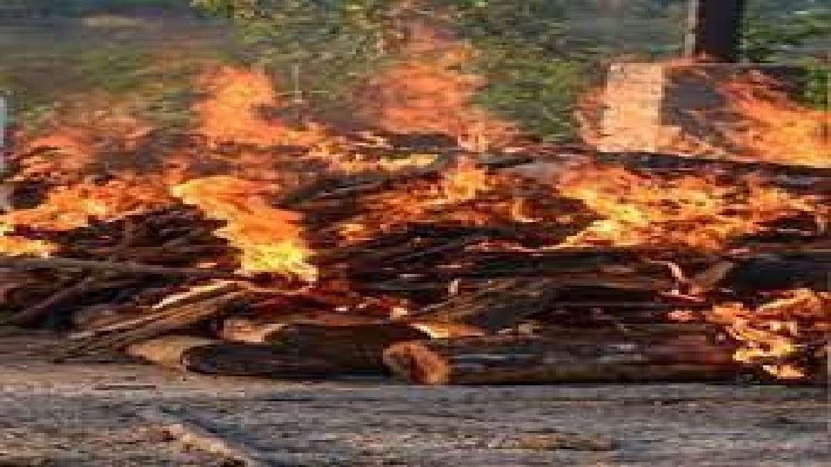 bihar happiness turned into mourning in gopalganj baikunthpur brothers death before sisters marriage seeing the dead body the mother gave up her life the bier got up together