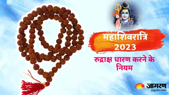 Mahashivratri 2023: महाशिवरात्रि पर इन नियमों के साथ धारण करें रुद्राक्ष, छूटेगा दुर्भाग्य का साथ