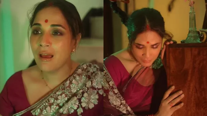 Actress Richa Chadha Video, Instagram Post Vidoe