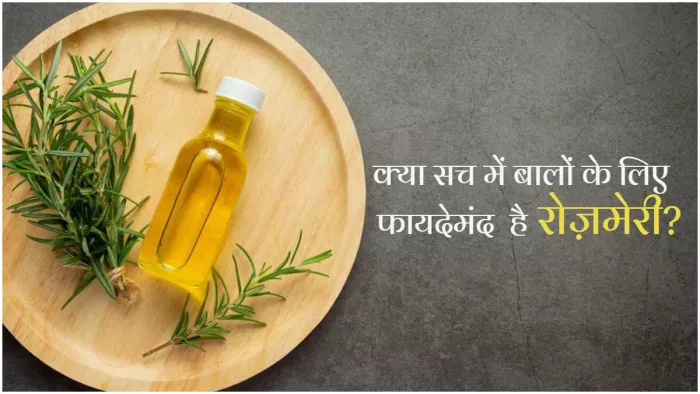 Rosemary For Hair: बालों के लिए बेहद फायदेमंद होती है रोज़मेरी, ऐसे करें इस्तेमाल