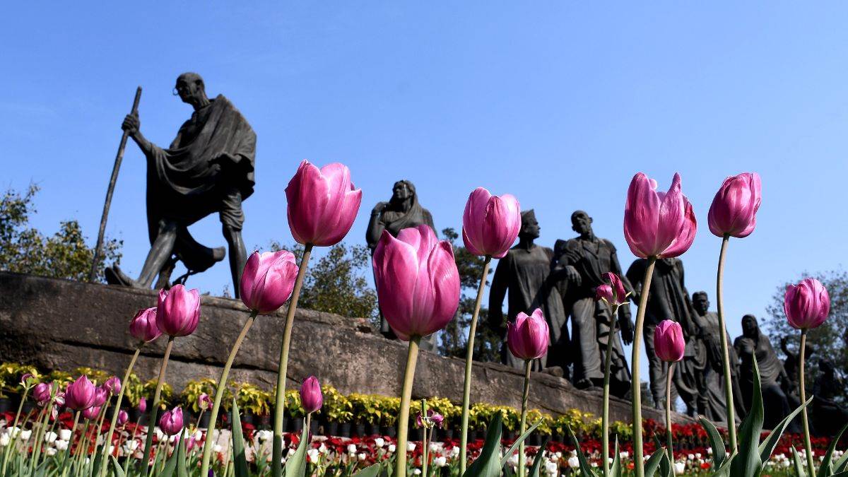 https://www.jagranimages.com/images/newimg/14022023/14_02_2023-tulip_festival_1_23328793.jpg