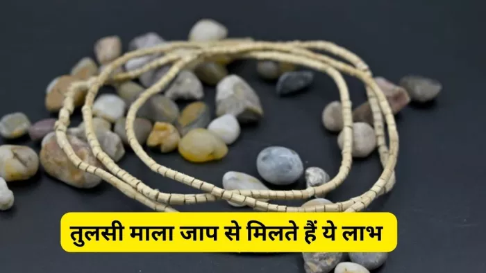 Tulsi Mala: रोजाना करें तुलसी की माला का जाप, पुण्य फल की होगी प्राप्ति