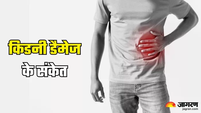 किडनी डैमेज होने के शुरुआती संकेत (Picture Credit- Freepik)