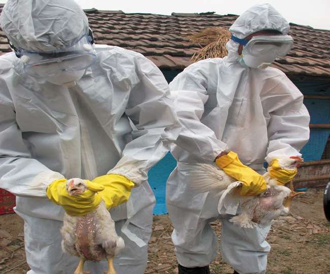 Coronavirus ALERT! Uttar Pradesh, Bihar, Kerala and West Bengal also has  high risk of Covid 19, Bird Flu and Swine Flu Jagran Special
