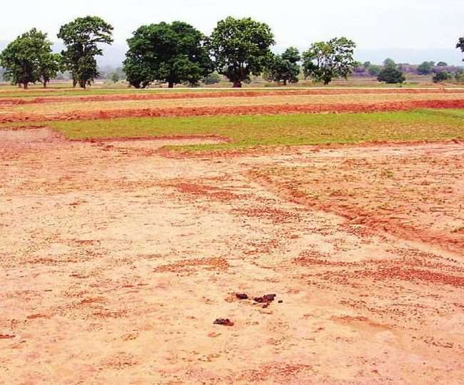 बिहार में मठ-मंदिरों की बेची जमीन वापस लेगी सरकार, आनलाइन मंगवा सकेंगे भूमि  का नक्शा - Government will take back the land sold of monasteries and  temples in Bihar, will be able