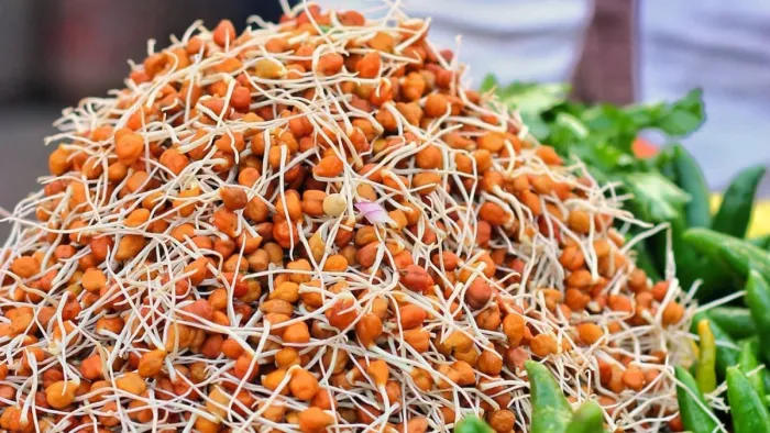 Sprouted Gram Benefits: चने को केवल भिगोएं नहीं बल्कि अंकुरित कर के खाएं, मिलेंगे खूब फायदे