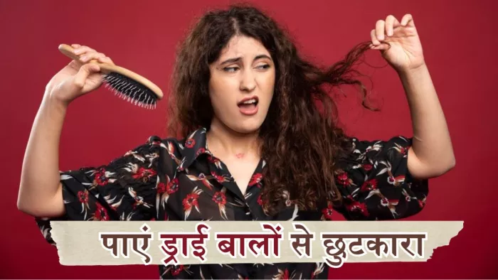 इन टिप्स से पाएं ड्राई बालों की समस्या से छुटकारा