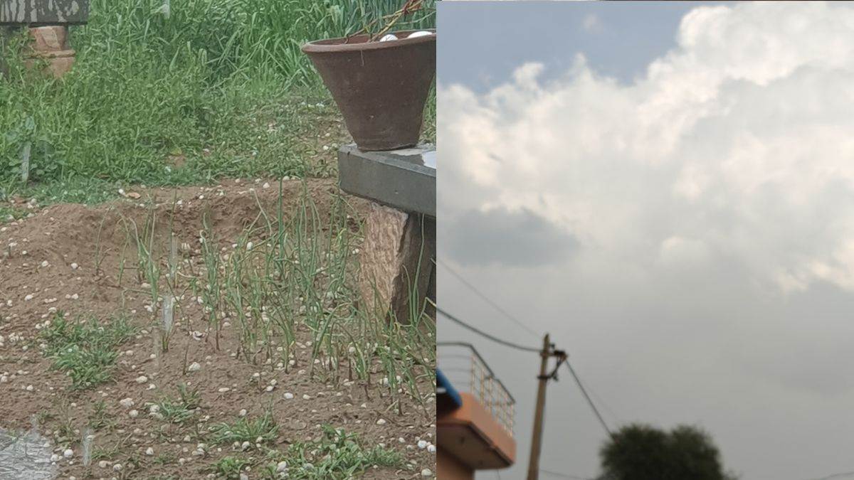 https://www.jagranimages.com/images/newimg/14032025/14_03_2025-haryana_weather_10_23899736.jpg