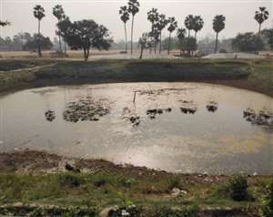 स्वयं सहायता समूह की महिलाओं को तालाब संवारने के जरिए उपलब्ध हो रहा रोजगार।