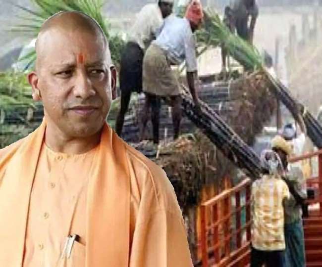 सीएम योगी का निर्देश- गन्ना किसानों को 14 दिन में मूल्य भुगतान का करें इंतजाम।